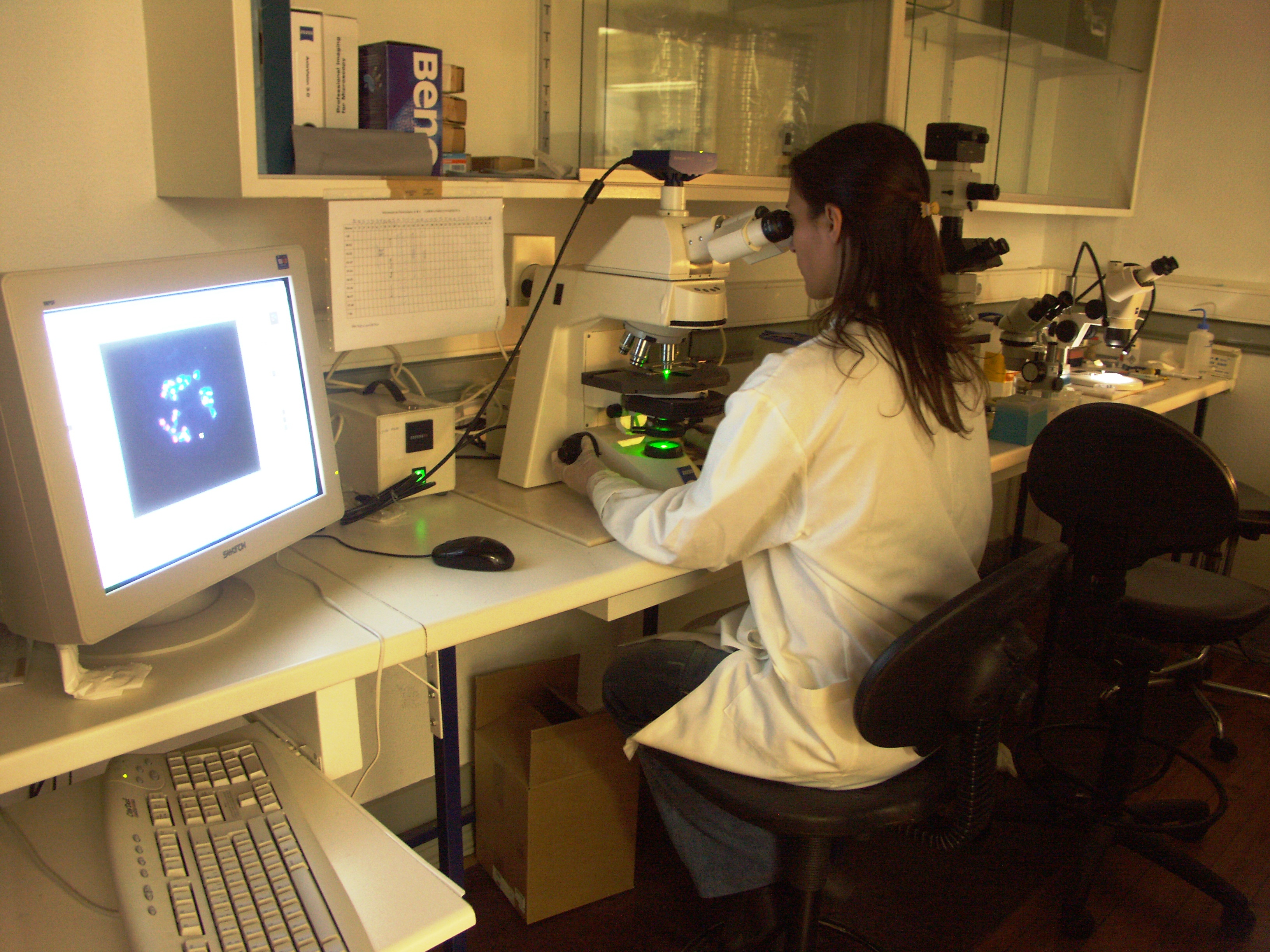 biologia