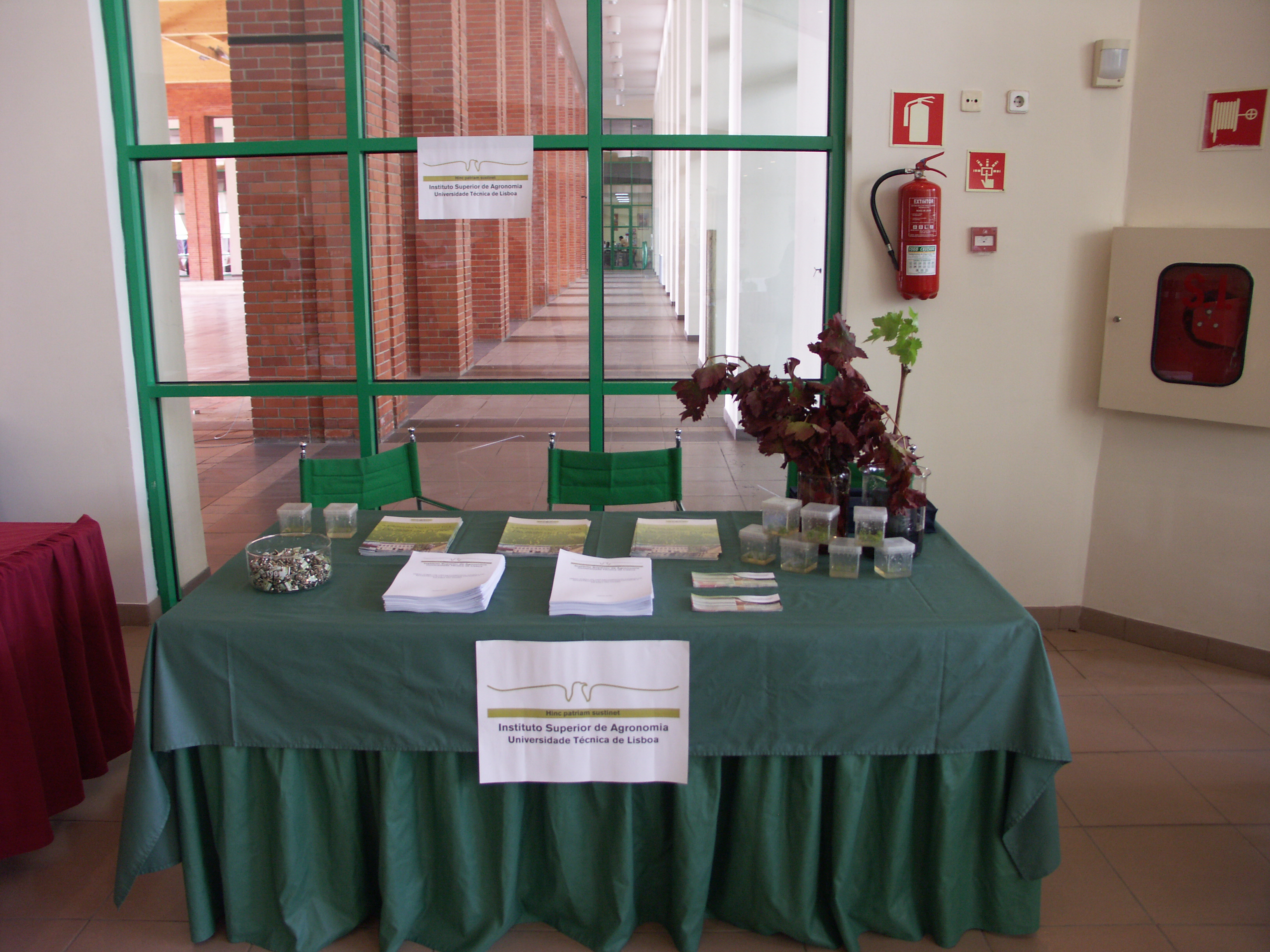 Viniportugal07