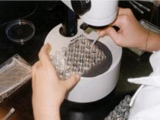 ecotox_net01.jpg